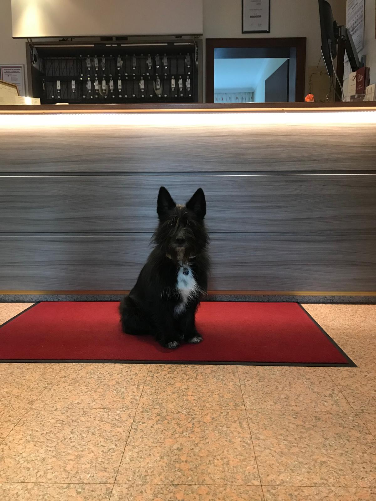 Ramona Wendler,
 Etage